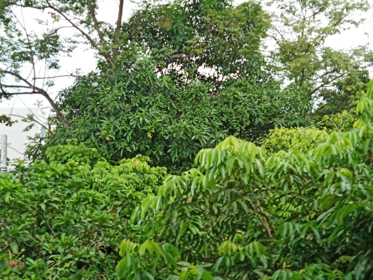 Green Space Homestay 宁平 外观 照片