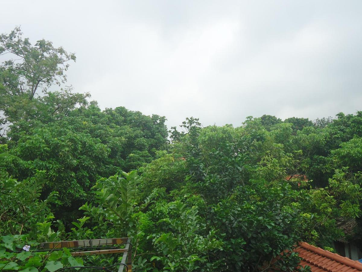 Green Space Homestay 宁平 外观 照片