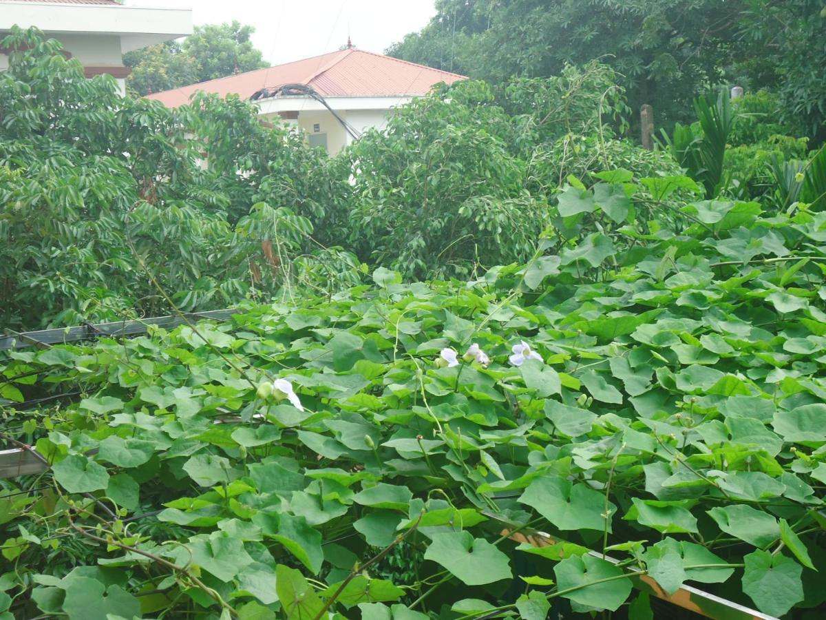 Green Space Homestay 宁平 外观 照片