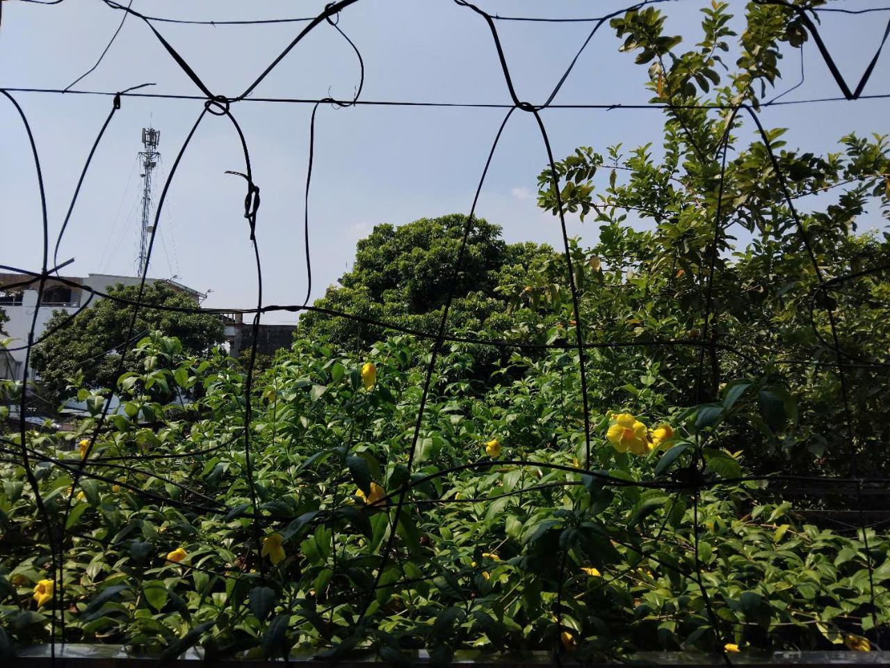 Green Space Homestay 宁平 外观 照片
